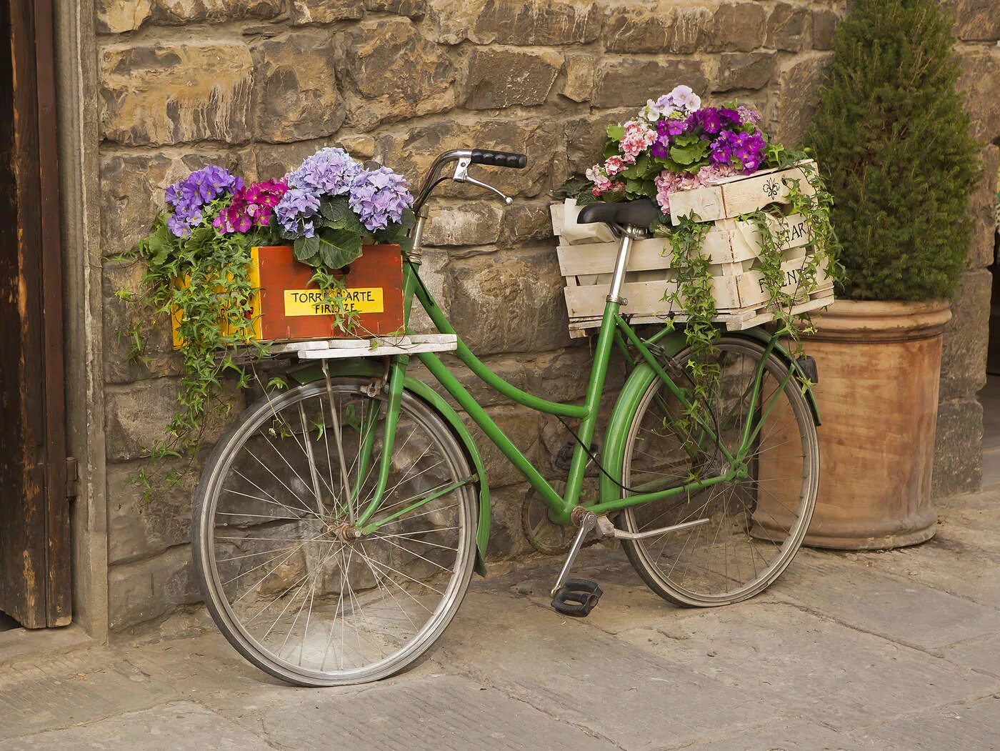 May bike. Велосипед с цветами. Велосипед с корзинкой цветов. Винтажный велосипед с цветами. Велосипед украшенный цветами.