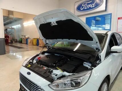 Газовые упоры фокус 3
