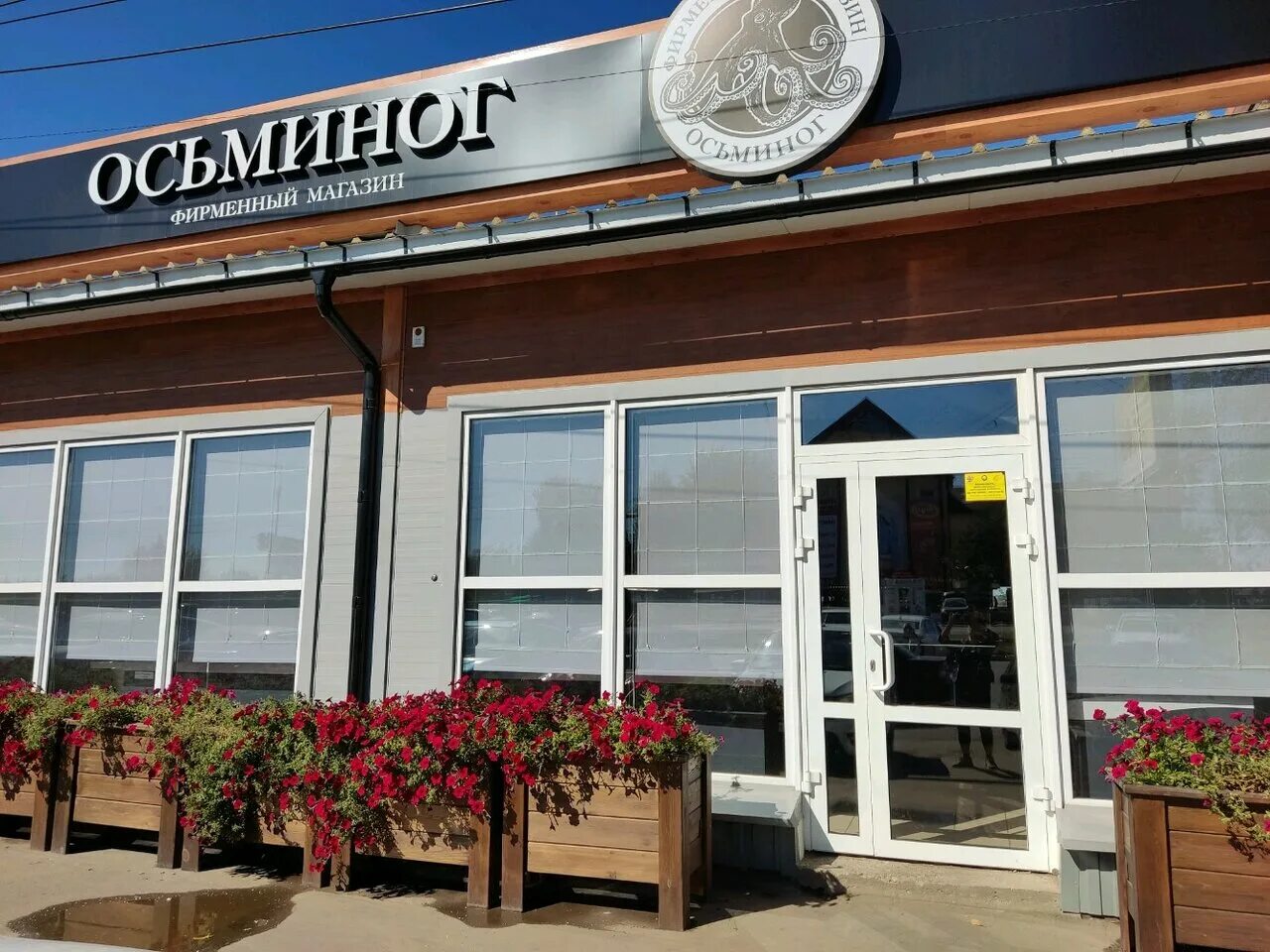 антонова 35 б саратов осьминог. магазин осьминог. чапаева 58 саратов осьминог. магазин осьминог саратов. рыбный магазин саратов осьминог.