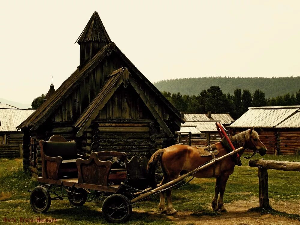 Село лошадка. Деревенские лошади. Деревенский конь. Конь в деревне. Лошадки в деревне.