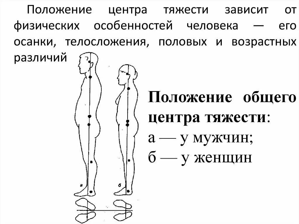 Где расположен центр тяжести тела. Центр тяжести тела человека биомеханика. Центр масс человека биомеханика. Центр тяжести у мужчин и женщин. Центр тяжести тела у мужчин и женщин.