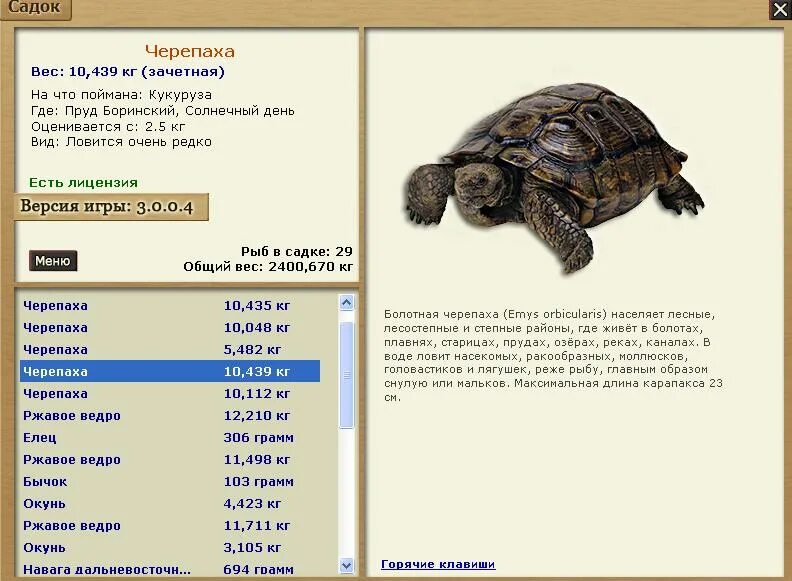 вес сухопутной черепахи. русская рыбалка 3 bear edition. 1 деревенские просторы черепаха прикормка. сколько весит средняя черепаха. масса черепахи.