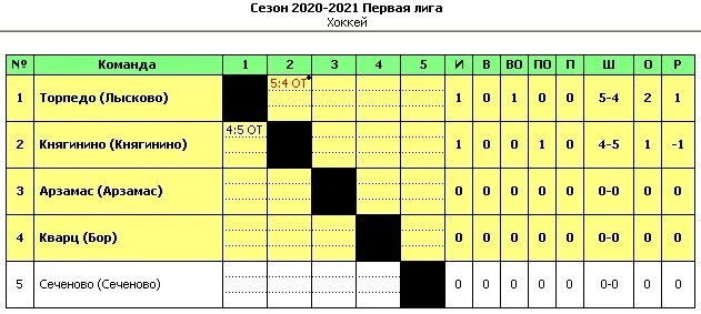 Хоккейная команда кварц Бор. Кварц групп хоккейная команда. «Торпедо» (Арзамас) 1992 год Результаты. Хк Княгинино г. Княгинино Высшая лига. Попутчик нижний арзамас расписание
