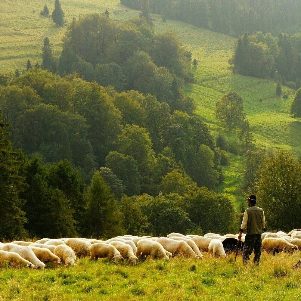 I was born. Born to be yours imagine dragons. I was born to be yours. Imagine dragons kygo. Born to be yours kygo.