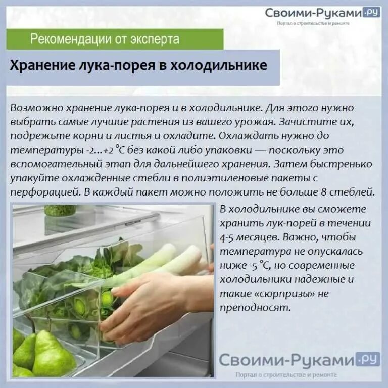 Температура хранения зелени в холодильнике. Для хранения свежей зелени.