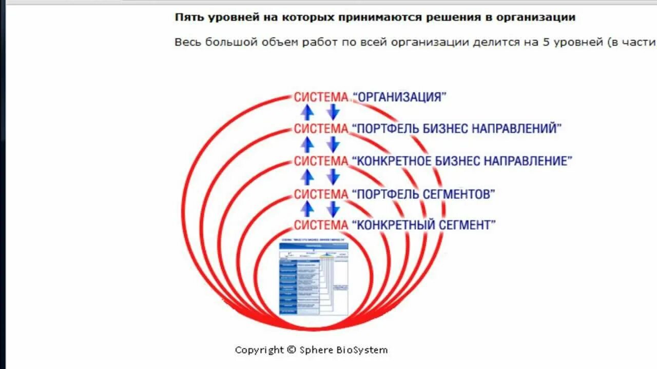 Пять уровней. 5 уровней принятия. паять уровней принятия. экспертом пятого уровня является. пятый уровень принятие.