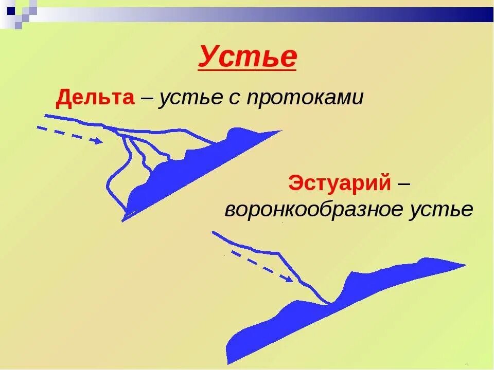 География устье реки. Устье реки Дельта и эстуарий. Типы устьев Дельта эстуарий. Дельта реки и Устье реки. Реки 6 класс Дельта, эстуарий.