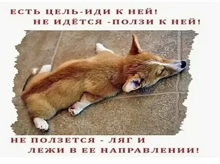 В этом направлении узнаваемы