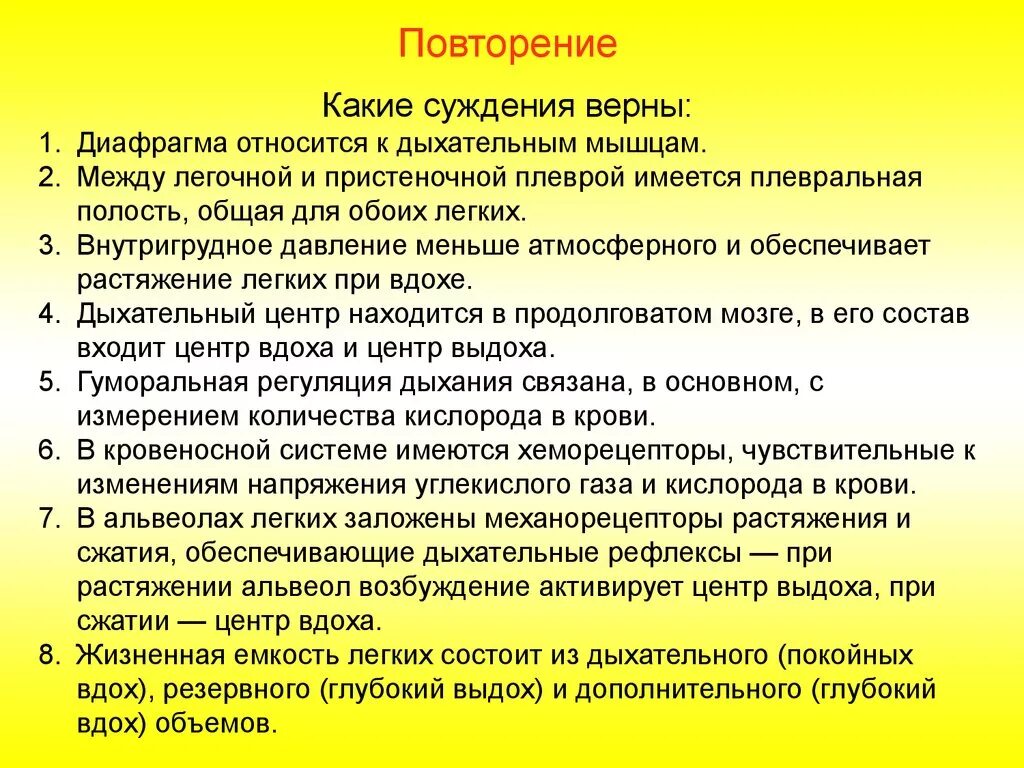 Частью какой из систем органов является диафрагма. Диафрагма относится к дыхательным мышцам. диафрагма не относится к дыхательным мышцам. верно ли утверждение диафрагма не относится к дыхательным мышцам,. диафрагма относится к дыхательным ?.