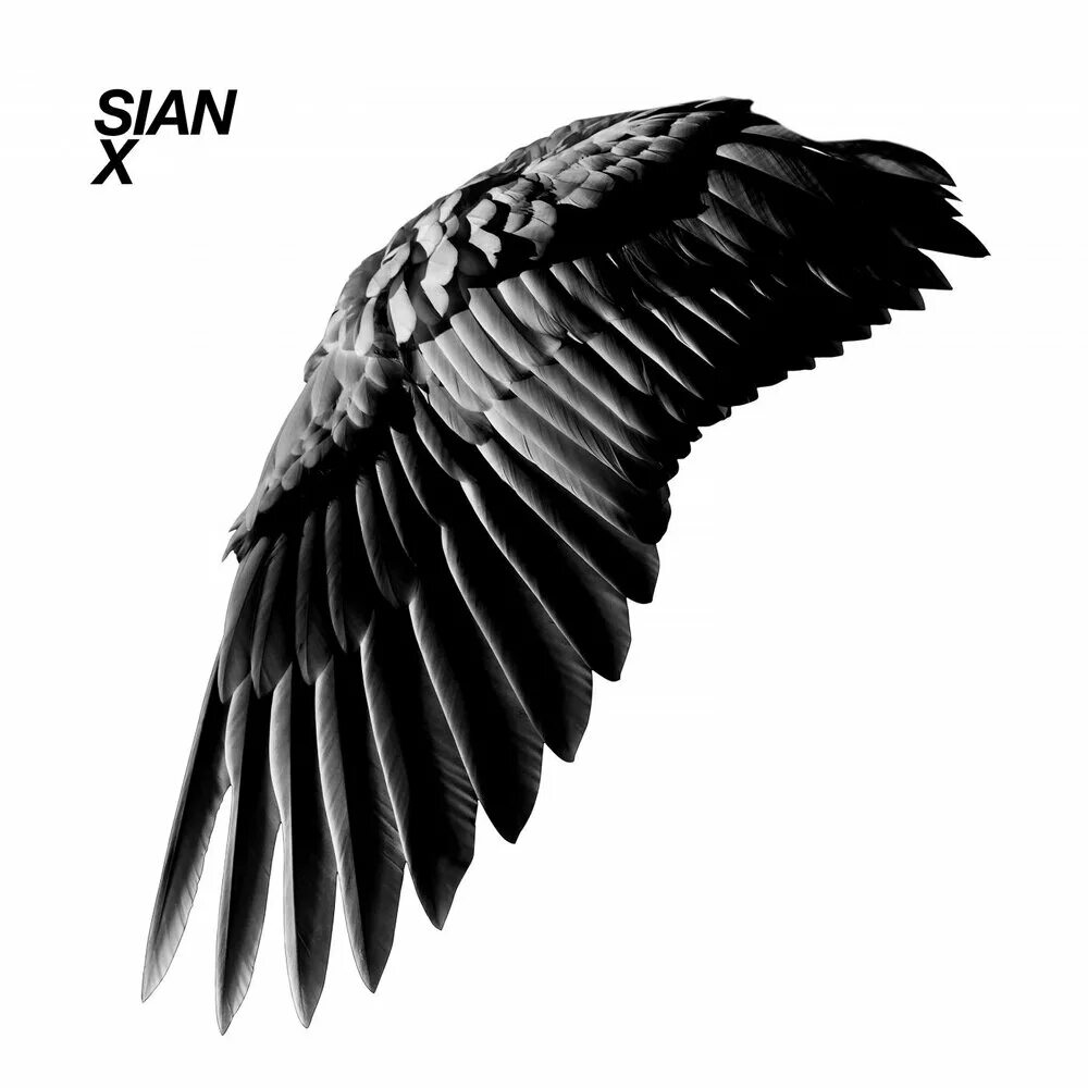 Sian city bleeds raito remix. Sian city bleeds raito remix. Sian - city bleeds (raito remix) (raito remix). Sian city bleeds raito remix. Корделия сакамаки.
