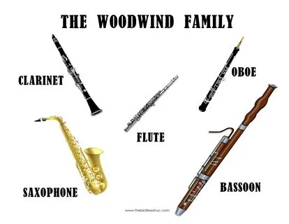 the woodwind family Instrument families, Woodwind instrument, Musical instrument