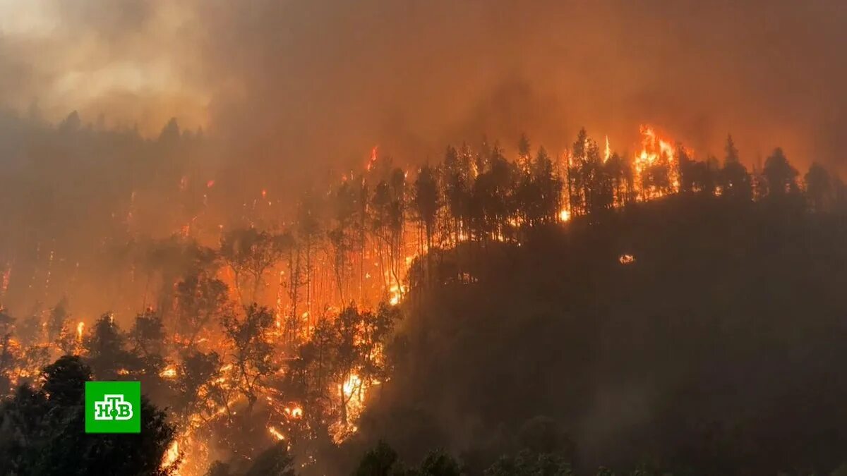 В испании сгорел. Лесные пожары. Огромный пожар. Горящий лес. Лесной пожар фото.