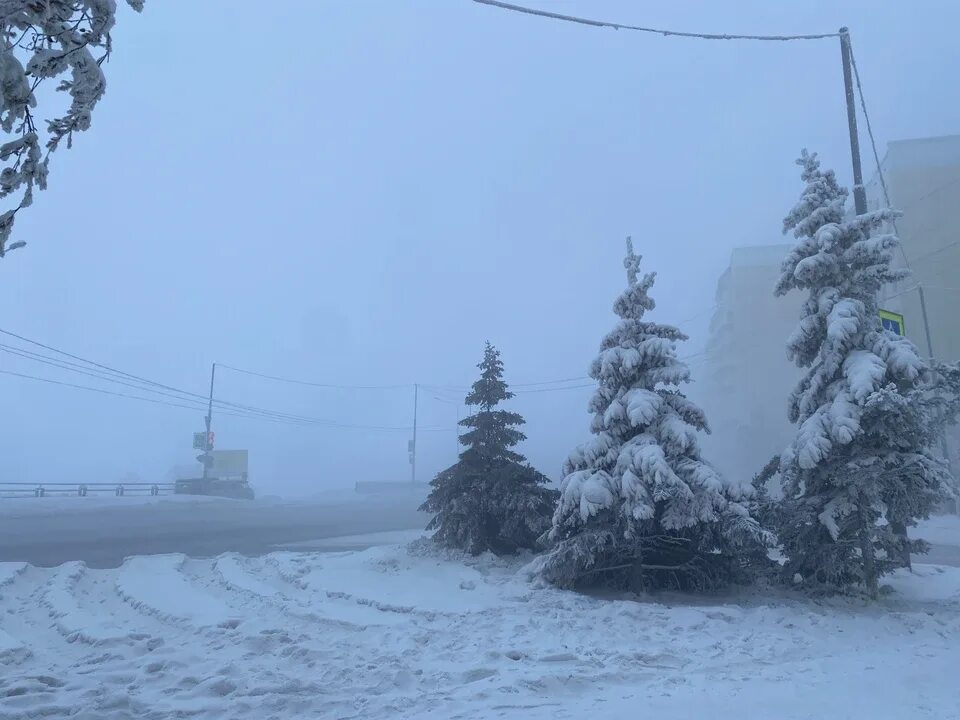 Прогноз погоды в якутске на 10 дней. Штормовое предупреждение. Елки снег январь туман. Туман в Якутске. Самая холодная зима в Якутске на севере.