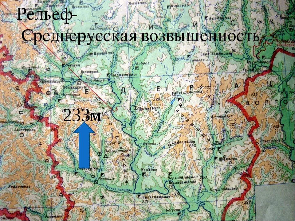 Абсолютная высота среднерусской возвышенности. Абсолютная высота среднерусской возвышенности. Среднерусская возвышенность форма рельефа. Абсолютная высота среднерусской возвышенности. Среднерусская возвышенность.