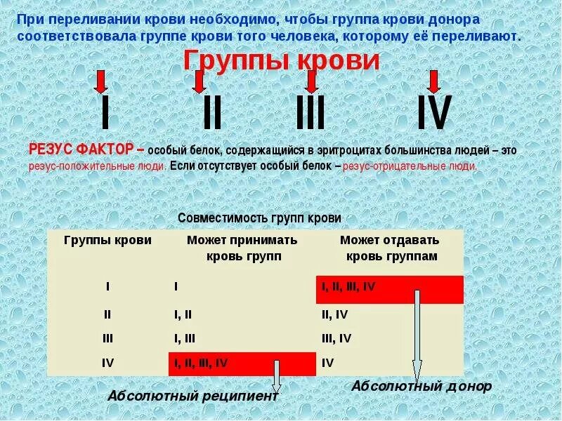 Четвертая группа крови отрицательный резус фактор