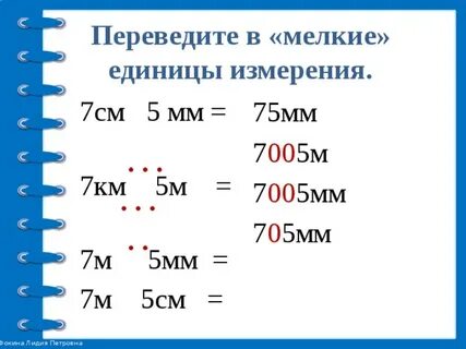 Мелкая единица