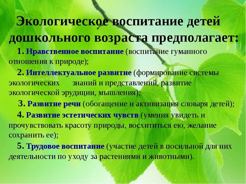 Что должен знать и уметь эколог. Экологическое воспитание дошкольников. Экологическое воспитание дошкольного возраста. Экологическое воспитание в ДОУ. Формирование экологического воспитания.