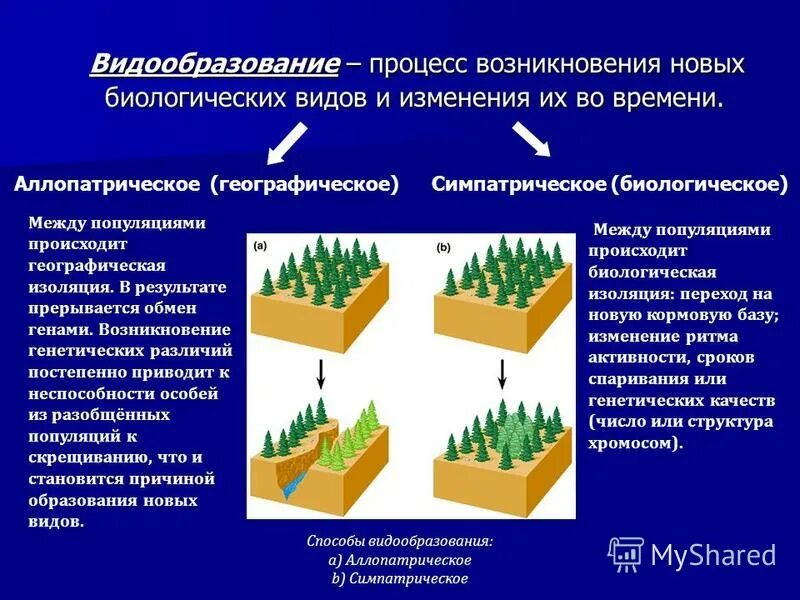 Движущие силы видообразования. Способы образования видообразования. причины симпатрического видообразования. основные формы видообразования (аллопатрическое, симпатрическое).. экологический способ видообразования.