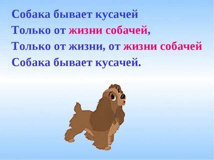 Песня собаку нельзя