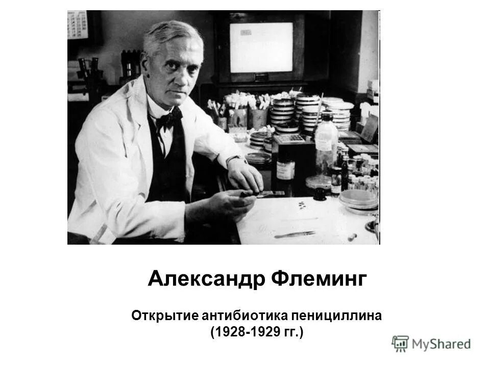 Александр флеминг 1928. Александр флеминг вклад в биологию. Флеминг вклад. Александр флеминг открыл пенициллин в 1928 году. Какое открытие сделал флеминг.