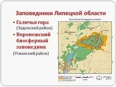 Природный заповедник галичья гора. Заповедники липецкого края. Заповедник галичья гора воргольские скалы. Заповедники липецкого края. Елец заповедник галичья гора.