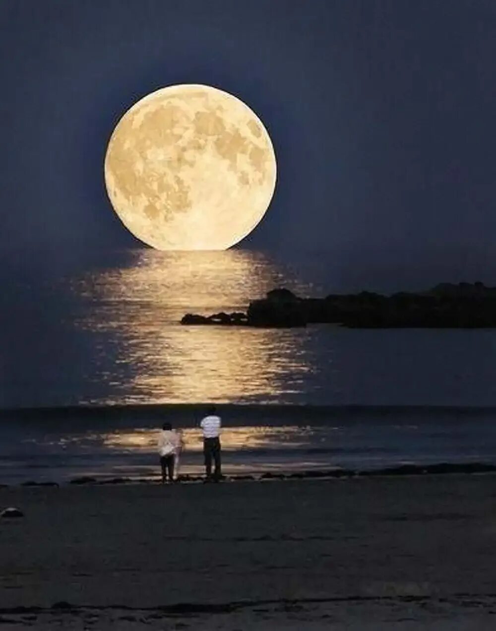 Luna net