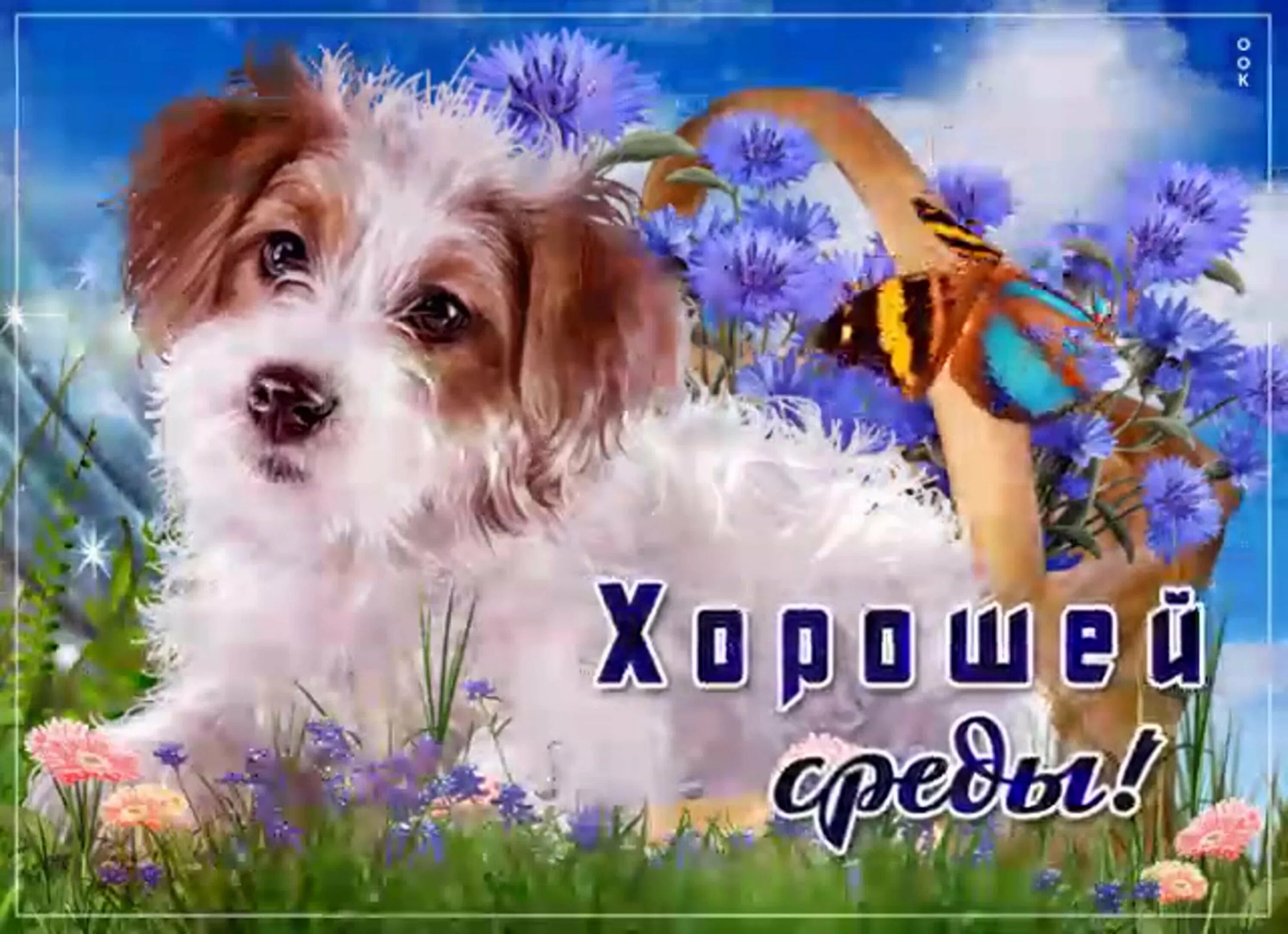 Среда доброе утро мерцающие картинки