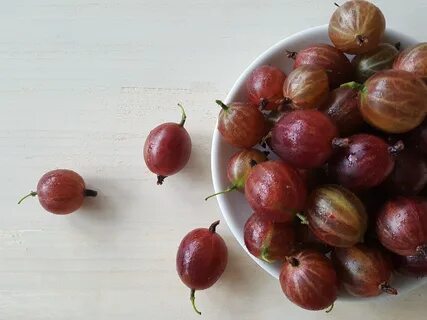 Крыжовник кисел