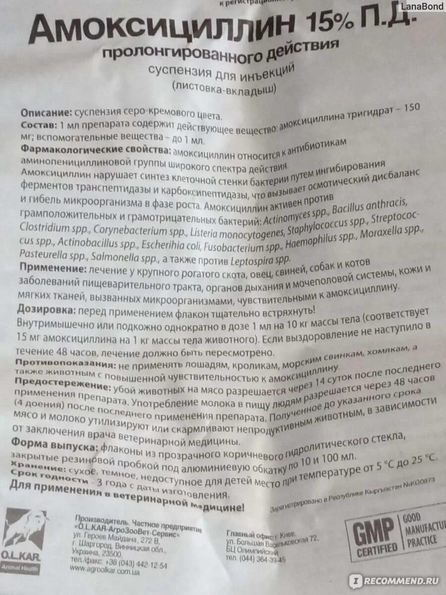 Амоксициллин 500 таблетки антибиотик. Амоксициллин детский таблетки 500мг. Амоксициллин 15 для животных инструкция. Амоксициллин 15 суспензия для инъекций для кошек.