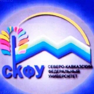 Скфу 2024