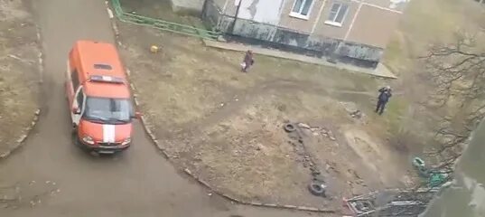 Упавшее дерево. Упавшие дроны в Московской области. Фото с коптера.