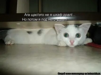 Щас это