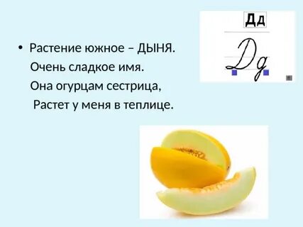 Загадка про дыню