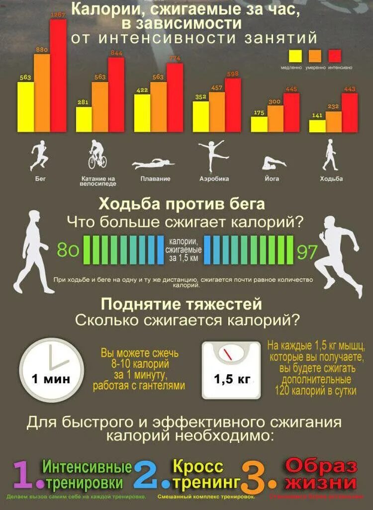 Сколько калорий можно сжечь за час ходьбы. Сколько калорий сжигается. За сколько сжигаются калории. Сколько Ари ходьбе чжигаются калорий. Сколько калорий тратится при.