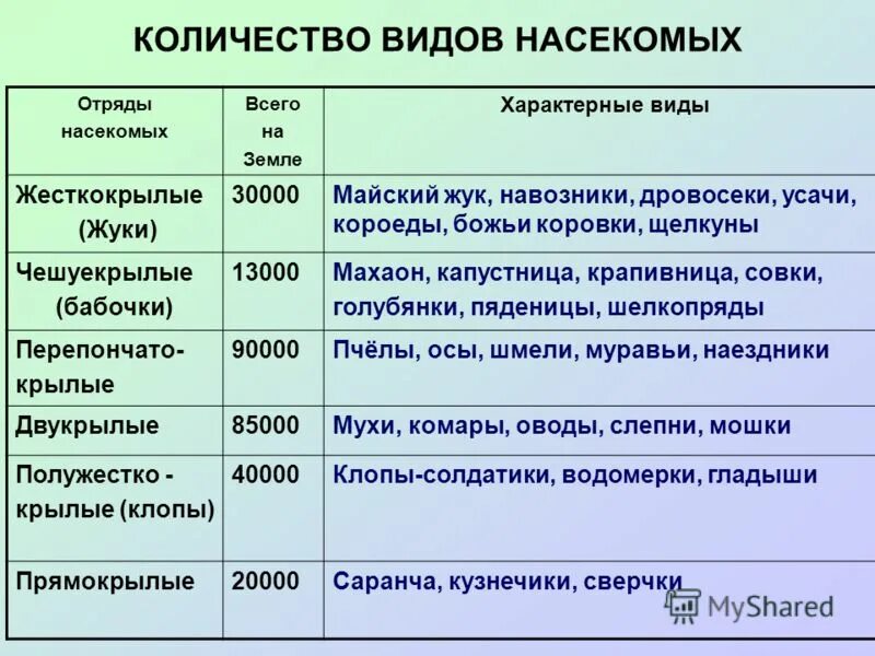 Характеристика насекомых. Биология 7 класс отряды насекомых с полным превращением. Группа животных насекомые. Охрана насекомых. Численность видов животных.
