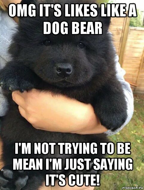 Im a bear. Im a bear. Супер беар адвенчер. Плюшевый мишка 60 см. Im a bear.