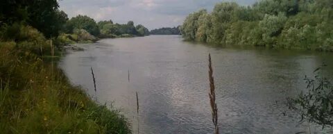 Погода переторги