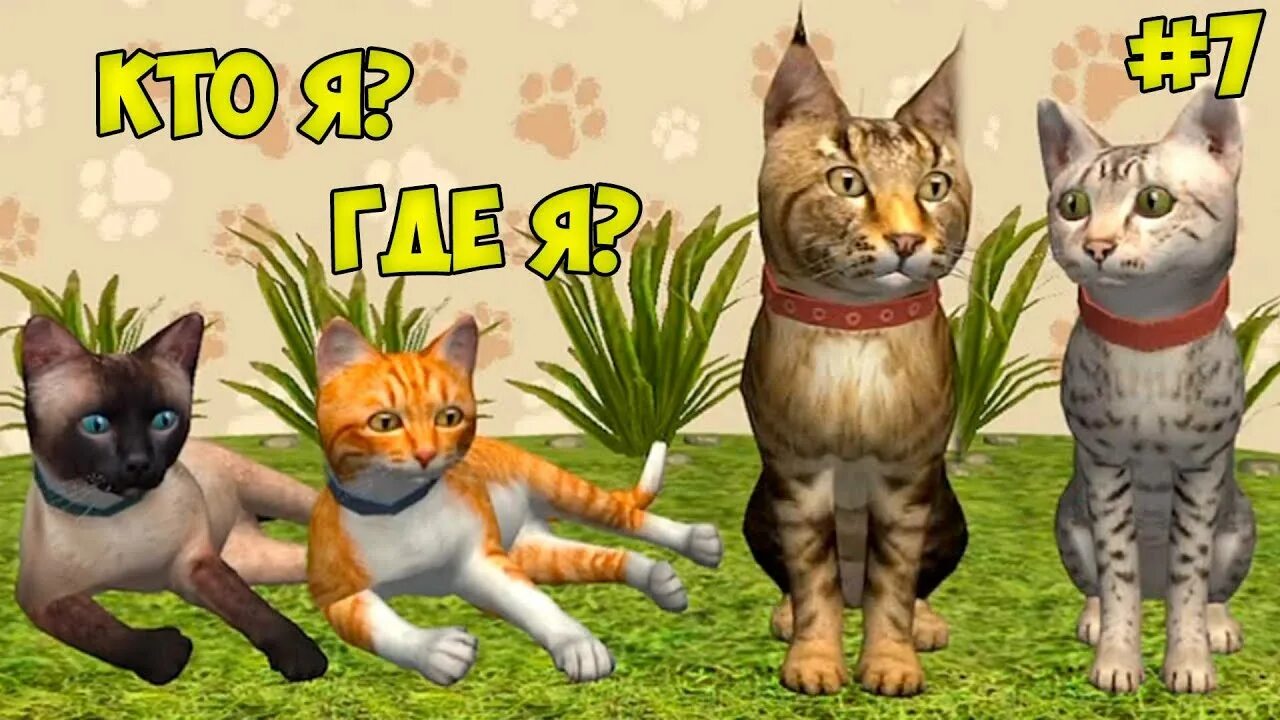 Обои на рабочий стол котята. Кошка на природе. Кошка 7 видео. Кошка это кошка у кошки семь котят. Симулятор кота и кошки.