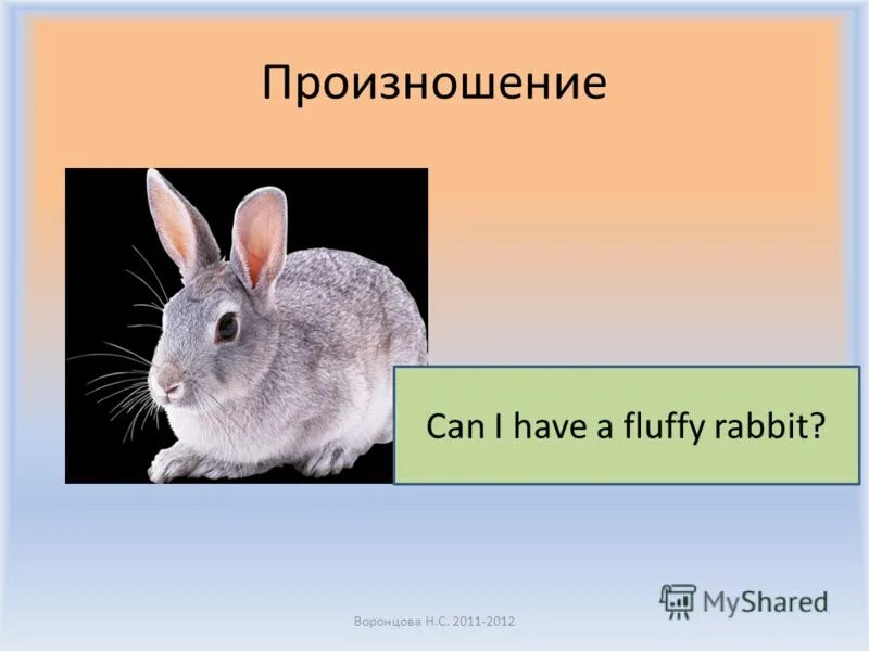 Could произношение. транскрипция произношение. Could произношение. Rabbit транскрипция на английском. Could произношение.