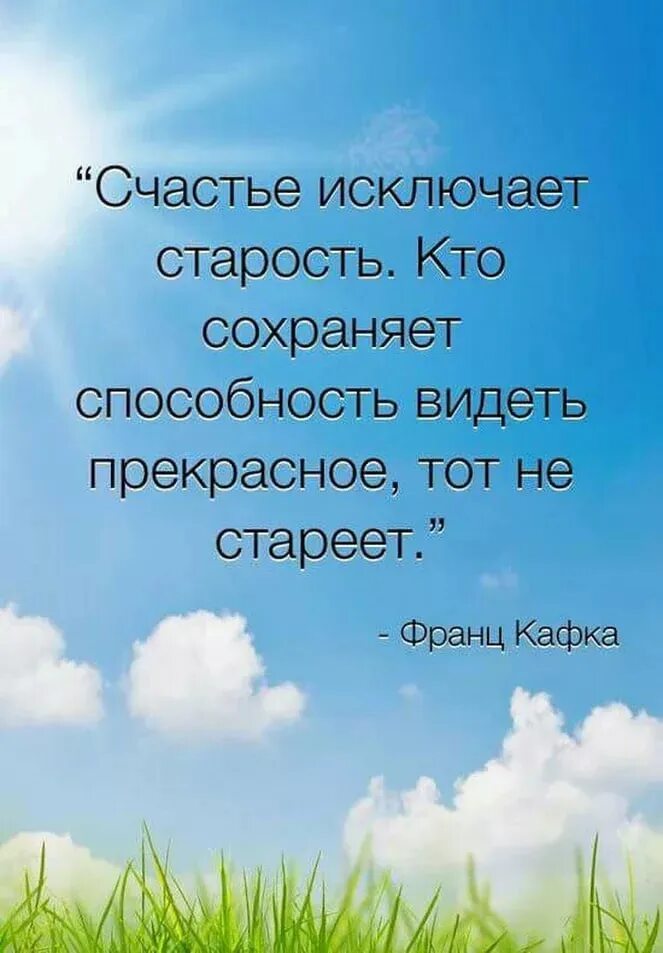 Способность видеть суть. Счастливый человек цитаты. Умение видеть прекрасное в человеке. Умение видеть прекрасное в обыденном. Есть в жизни счастье.