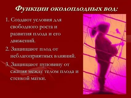 Предохраняет плод от механических повреждений