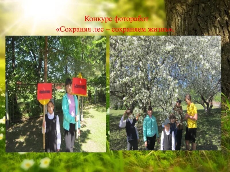 Сохраним леса россии. Рисунок сохраним лес живым. Экология сохранение лесов. Проект сохраним лес. Плакат на тему защита леса.