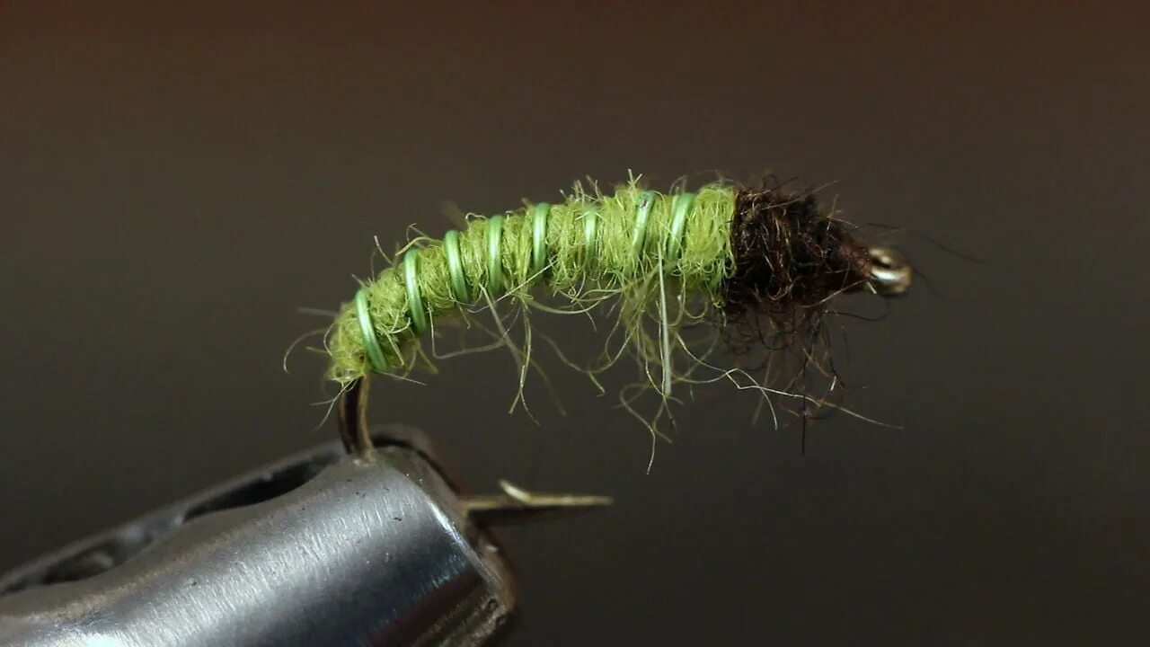Личинка мушки. Caddis Larva мушка. Зеленый ручейник личинка. Stenopsyche Marmorata ручейник. Муха ручейник.