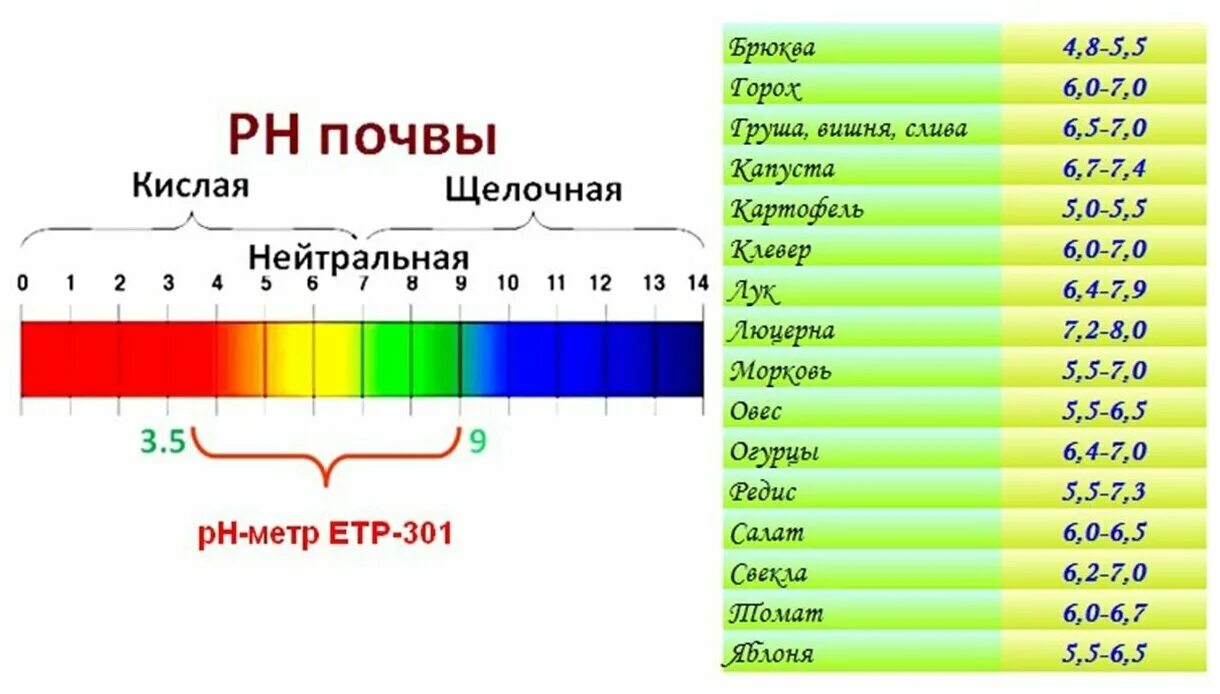 Кислотность почвы таблица PH. Уровень кислотности почвы таблица. Таблица РН кислотности почвы. Таблица ПШ кислотности для растений.