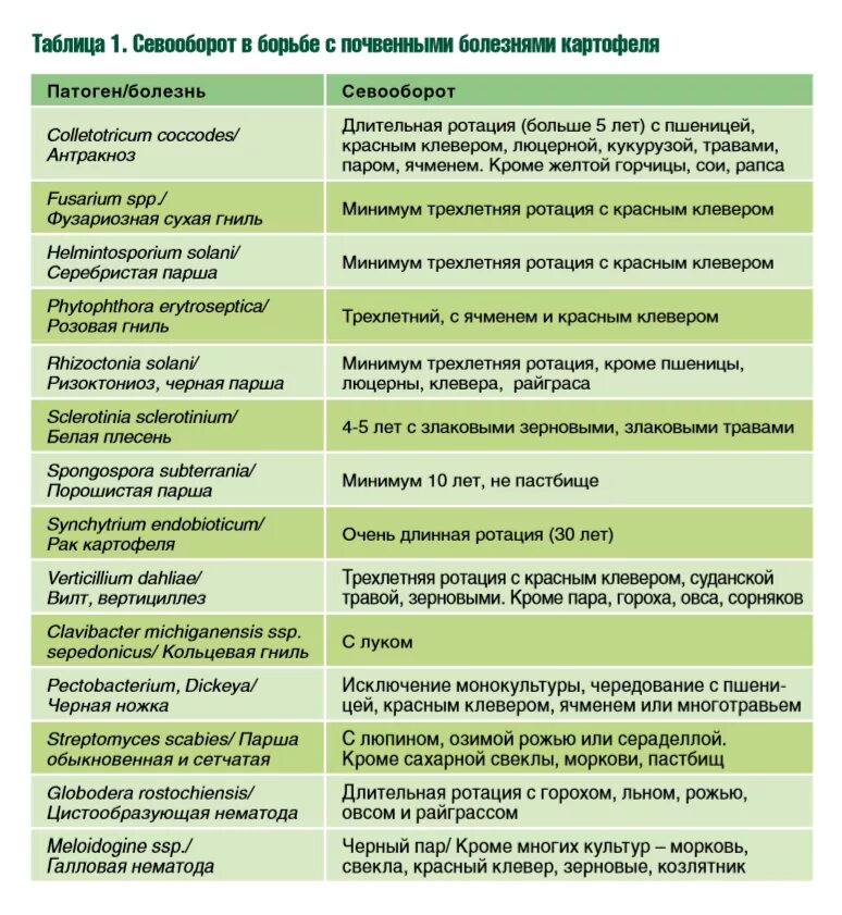 Что можно посадить после картофеля на следующий. Схема чередования культур в севообороте. Таблица предшественников овощей. Чередование культур в севообороте. Предшественники сельскохозяйственных культур.