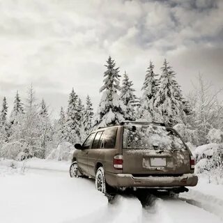 Escape winter