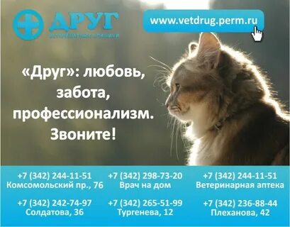Друг пермь