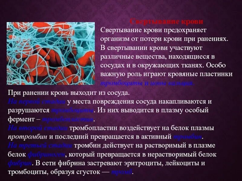 Участвует в свертывании крови. Свертывание крови плазмой. Процесс свертывания крови. Образование тромба попадание факторов свертывания в плазме