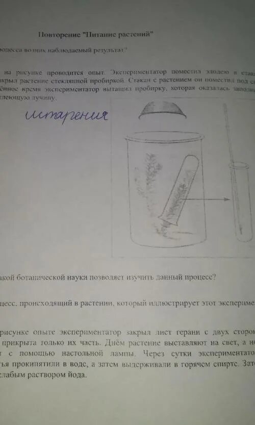 В изображенном на рисунке опыте тюльпан. Знание какой Ботанической науки позволит. Знание какой Ботанической науки позволит изучить данный процесс. Поместили элодею в стакан заполненный водой. Процессы в области Ботанической науки.