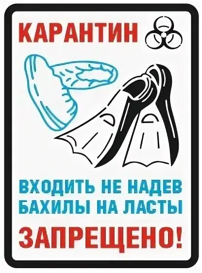 Надевайте или одевайте бахилы как правильно. Надевайте или одевайте бахилы как правильно